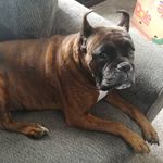 Franklin Ebneter - @ebneterfranklin - Instagram