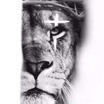 Franklin Edson - @franklin.edson.3 - Instagram