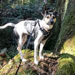 Franklin Ellis Gonyea - @franklinellisgonyea - Instagram