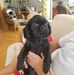 Frankie Eubanks - Facebook