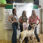 Franklin Southampton Fair - @soco_fair - Instagram