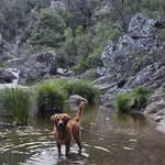 Sue Powell - @franklin_field_golden - Instagram