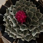 franklin_flowers - @franklin_flowers1 - Instagram
