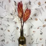 Taylor-Franklin Flowers - @taylorfranklinflowers - Instagram