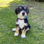 Benjamin Franklin Gates - @benjisye - Instagram