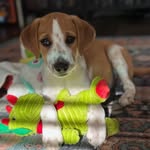 Gilligan Franklin Gates - @gilliganbenjaminfranklingates - Instagram
