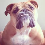 Franklin Gilbert - @franklingilbert13 - Instagram