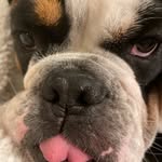 Franklin Glover - @franklinduhtank - Instagram