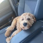 franklin saint glover - @franklinsaintdoodle - Instagram