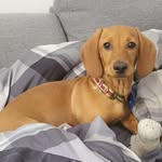 Franklin Howard O’Neill - @feelingfrankie21 - Instagram
