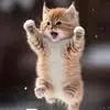 Franklin Jacinto - @franklin.jacinto7 - TikTok