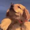 Franklin Johnson - @franklin.johnson2 - TikTok