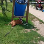 Franklin Knox - Facebook