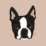 FRANKLIN McGEE - @frankiemcpig - Instagram
