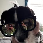 Henry Franklin McGee Burg🐄 - @hennythecow - Instagram
