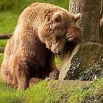 Franklin Meyer - @franklin.meyer.754 - Instagram