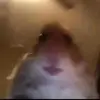 Franklin Morris323 - @immoturdad - TikTok