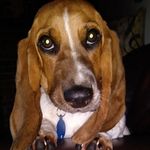 Franklin Mortimer - @franklinmortimore_1 - Instagram