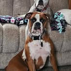 Franklin Nicholson - Facebook