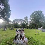 Franklin Norman - Facebook
