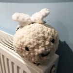 Franklin Oliver Smith - @frank_the_bee - Instagram