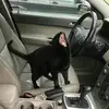 Franklin - @franklinpotter_ - TikTok