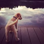 Franklin Potter - @franklinpotter - Instagram