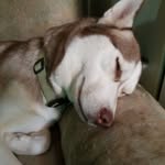 Franklin Potter - @budsdaddy67 - Instagram
