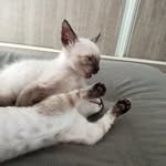 @franklin_potter_luna - Instagram