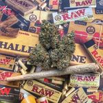 @franklin.quicksupplies - Instagram