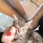 Franklin Quick - @asmikheper0 - Instagram