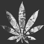 be a weed boy 🍁🍁🍁 - @rapper_fan_franklin - Instagram