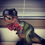 Franklin Rex - @franklin_rex_adventures - Instagram