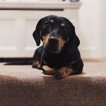 Franklin D Rogers - @franklin_d_rogers - Instagram