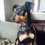 Franklin Mays Rogers - @frankiemaysrogers - Instagram