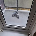 Franklin Rogers - @franklin.rogers.167 - Instagram