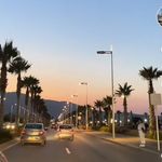 Franklin - @franklin_rothschild - Instagram