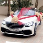 @franklin_rothchild - Instagram