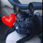 Franklin Rowe - @franklin022718 - Instagram