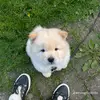 frank_6876 - @franklinroy8 - TikTok