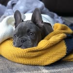 Franklin Roy Stubbs - @franklin_stubbs - Instagram