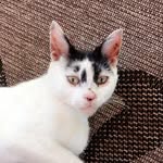 Franklin - @franklinrulestheworld - Instagram