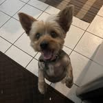@franklin_rules_the_world - Instagram