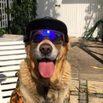 Ryan Franklin - @ryan_franklinza - Instagram