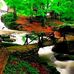 Franklin Samson - Facebook
