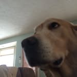 Franklin Saunders - @frank.saunders - Instagram
