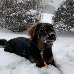 Franklin Schultz - @frank_thetank04 - Instagram