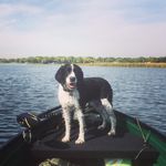 Franklin JL the Springer - @franklinjlthespringer - Instagram