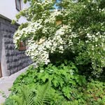 Franklin Stanley - @tinastanley328 - Instagram