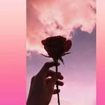 Franklin Stanley - @franklin.stanley.58 - Instagram